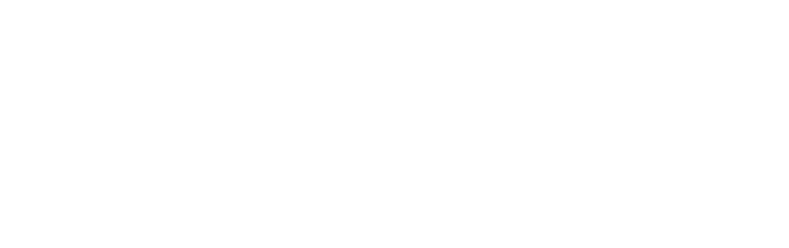 Conecta Capital